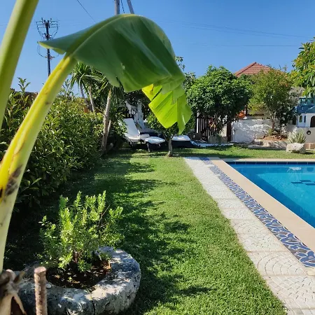 Maria Kefalonia 펜션 Metaxáta